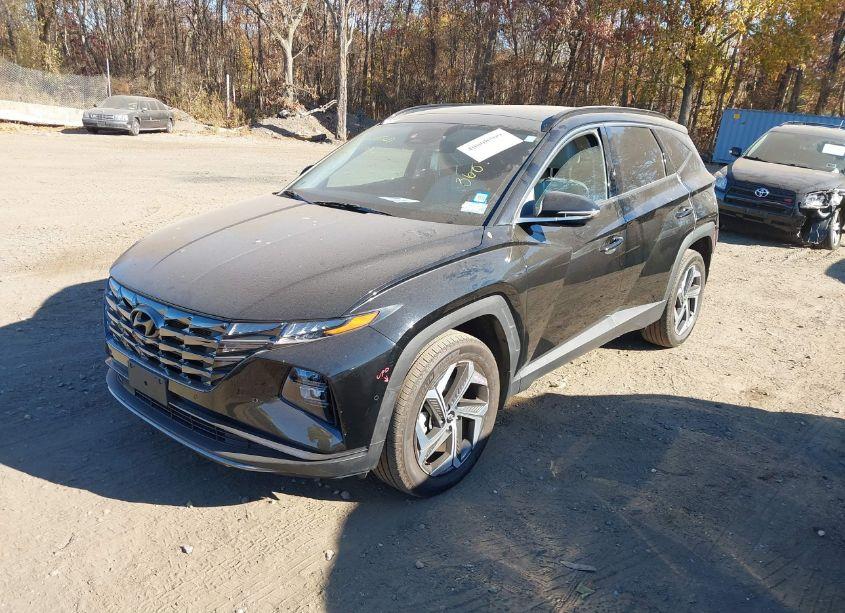 Photo 2 of 2023 Hyundai Tucson LIMITED (VIN 5NMJECAEXPH206731)