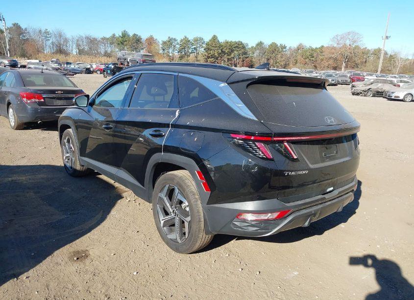 Photo 3 of 2023 Hyundai Tucson LIMITED (VIN 5NMJECAEXPH206731)