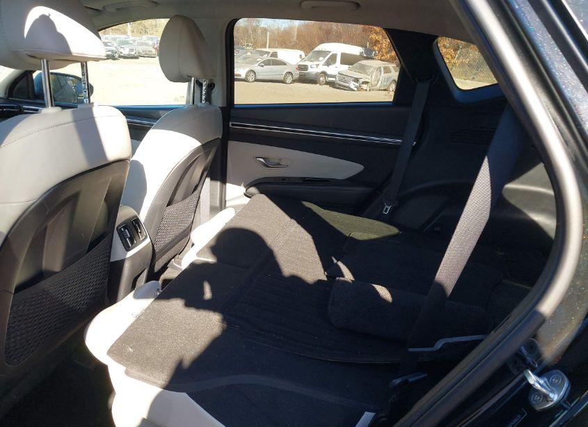 Photo 8 of 2023 Hyundai Tucson LIMITED (VIN 5NMJECAEXPH206731)