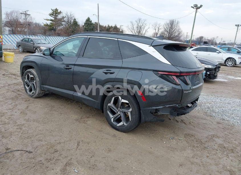Photo 3 of 2023 Hyundai Tucson LIMITED (VIN 5NMJECAEXPH216014)