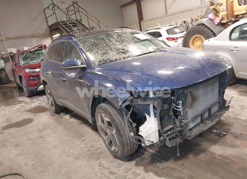 2024 Hyundai Tucson LIMITED (VIN 5NMJECDE0RH352005) main photo