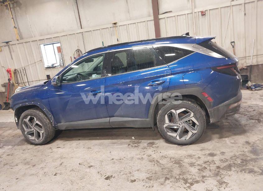 Photo 14 of 2024 Hyundai Tucson LIMITED (VIN 5NMJECDE0RH352005)
