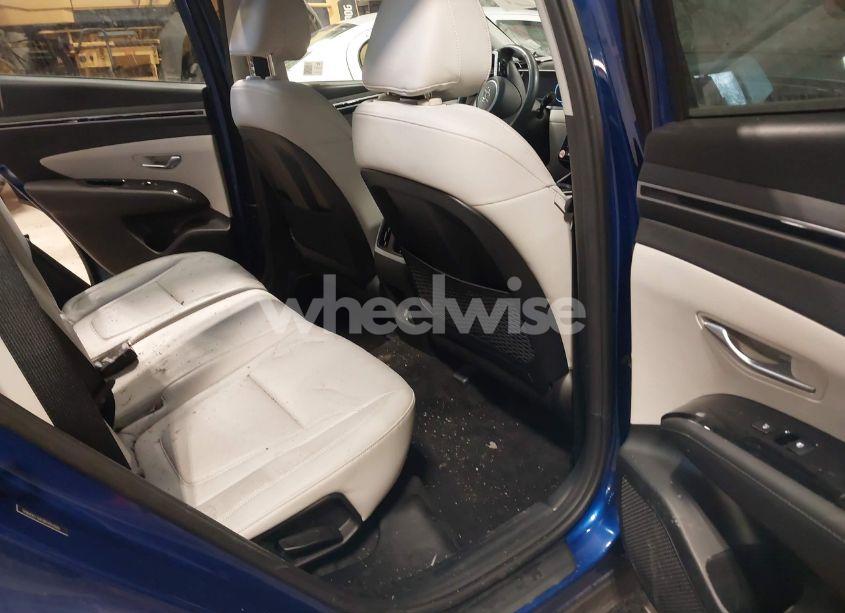 Photo 8 of 2024 Hyundai Tucson LIMITED (VIN 5NMJECDE0RH352005)