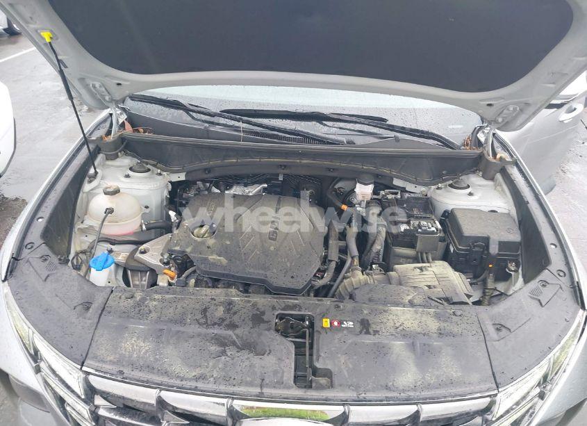 Photo 10 of 2024 Hyundai Tucson LIMITED (VIN 5NMJECDE0RH352912)