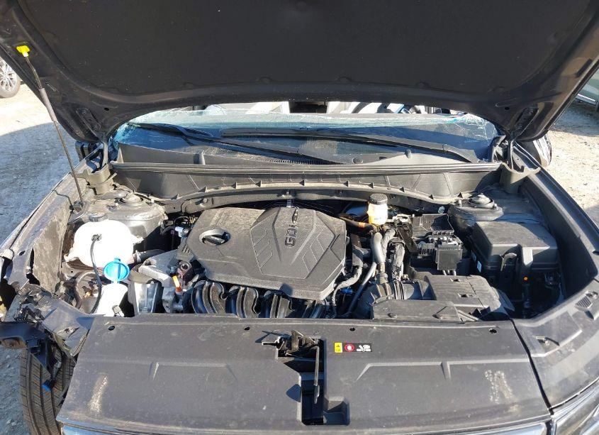 Photo 10 of 2024 Hyundai Tucson LIMITED (VIN 5NMJECDE0RH356622)