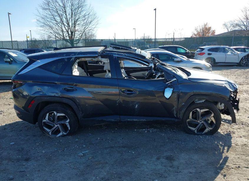 Photo 14 of 2024 Hyundai Tucson LIMITED (VIN 5NMJECDE0RH356622)