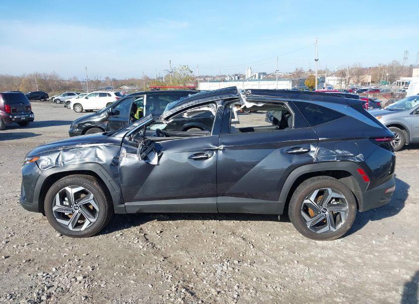 Photo 15 of 2024 Hyundai Tucson LIMITED (VIN 5NMJECDE0RH356622)