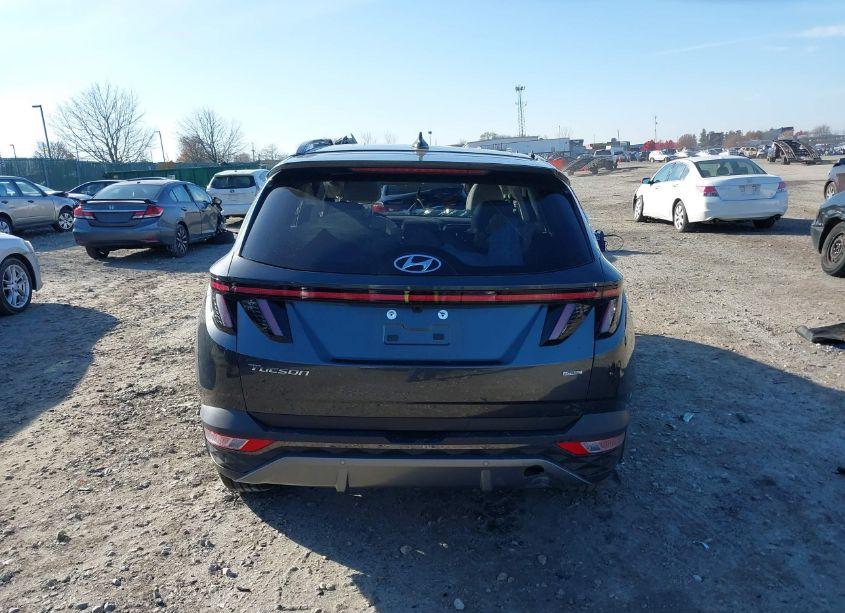 Photo 17 of 2024 Hyundai Tucson LIMITED (VIN 5NMJECDE0RH356622)