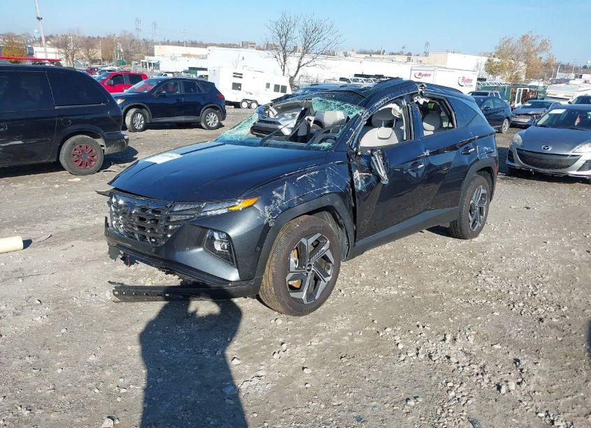 Photo 2 of 2024 Hyundai Tucson LIMITED (VIN 5NMJECDE0RH356622)