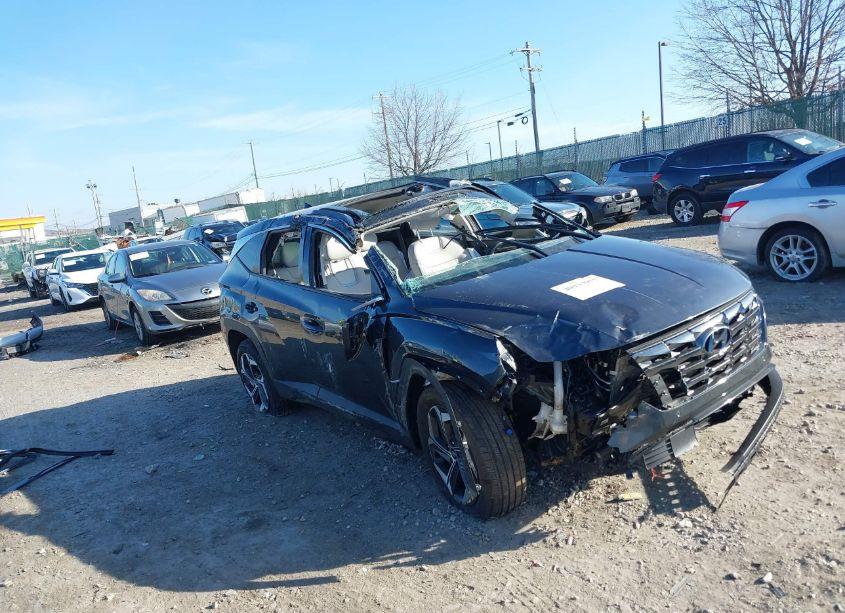 Photo 6 of 2024 Hyundai Tucson LIMITED (VIN 5NMJECDE0RH356622)