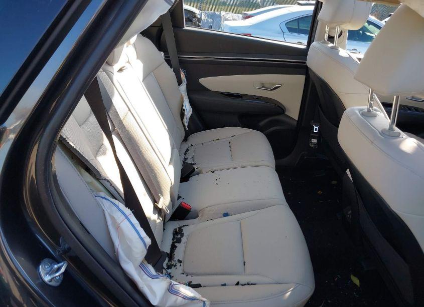 Photo 8 of 2024 Hyundai Tucson LIMITED (VIN 5NMJECDE0RH356622)