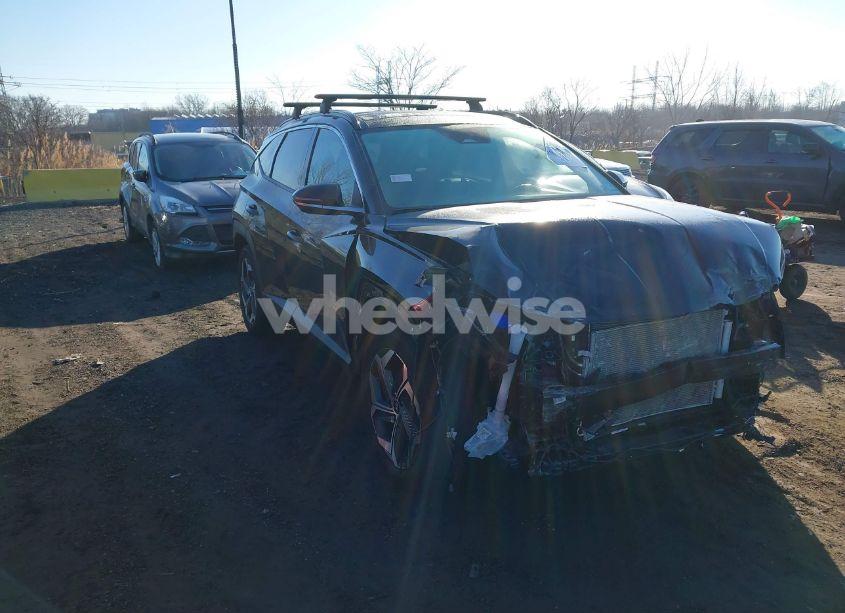 2024 Hyundai Tucson LIMITED (VIN 5NMJECDE2RH318020) main photo