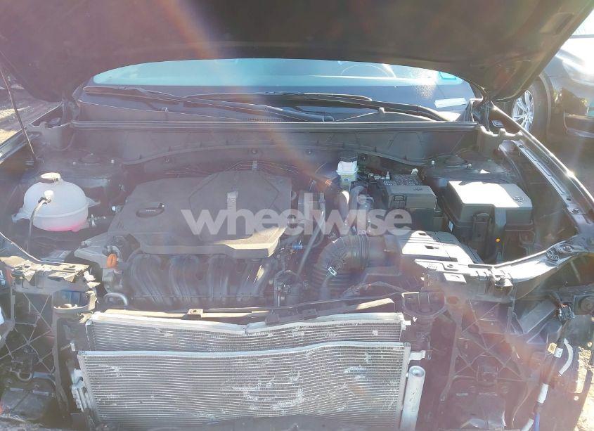 Photo 10 of 2024 Hyundai Tucson LIMITED (VIN 5NMJECDE2RH318020)