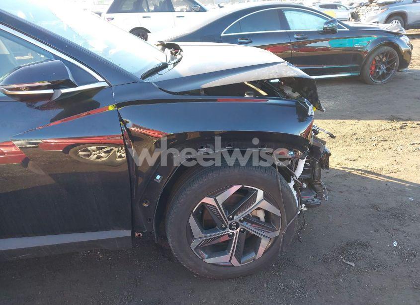 Photo 18 of 2024 Hyundai Tucson LIMITED (VIN 5NMJECDE2RH318020)