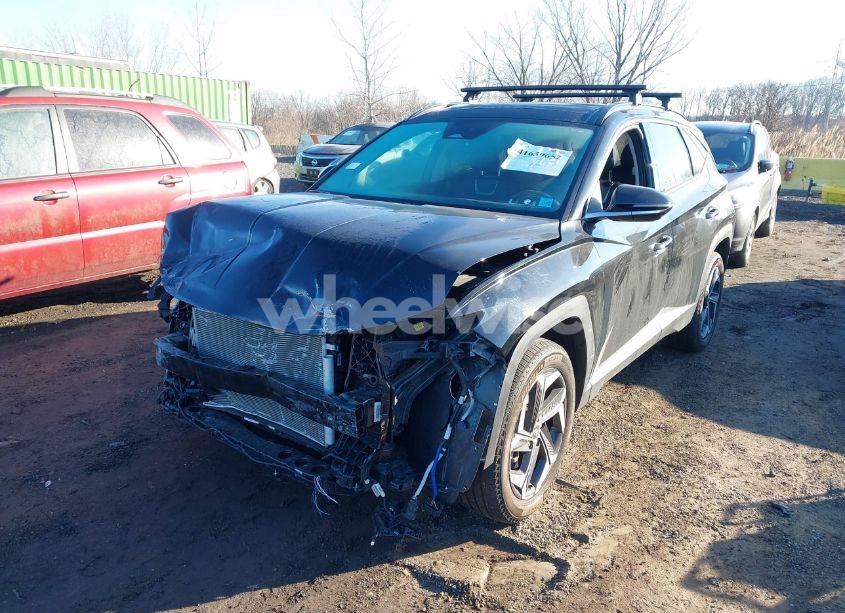 Photo 2 of 2024 Hyundai Tucson LIMITED (VIN 5NMJECDE2RH318020)
