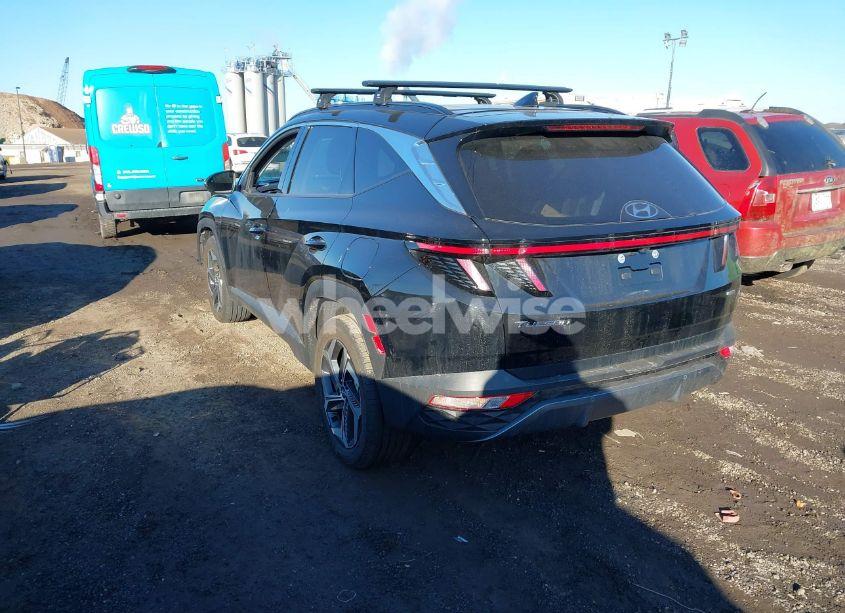 Photo 3 of 2024 Hyundai Tucson LIMITED (VIN 5NMJECDE2RH318020)