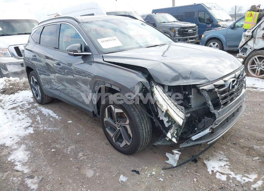 2024 Hyundai Tucson LIMITED (VIN 5NMJECDE2RH379657) main photo