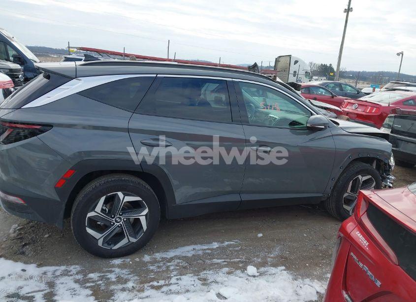Photo 13 of 2024 Hyundai Tucson LIMITED (VIN 5NMJECDE2RH379657)