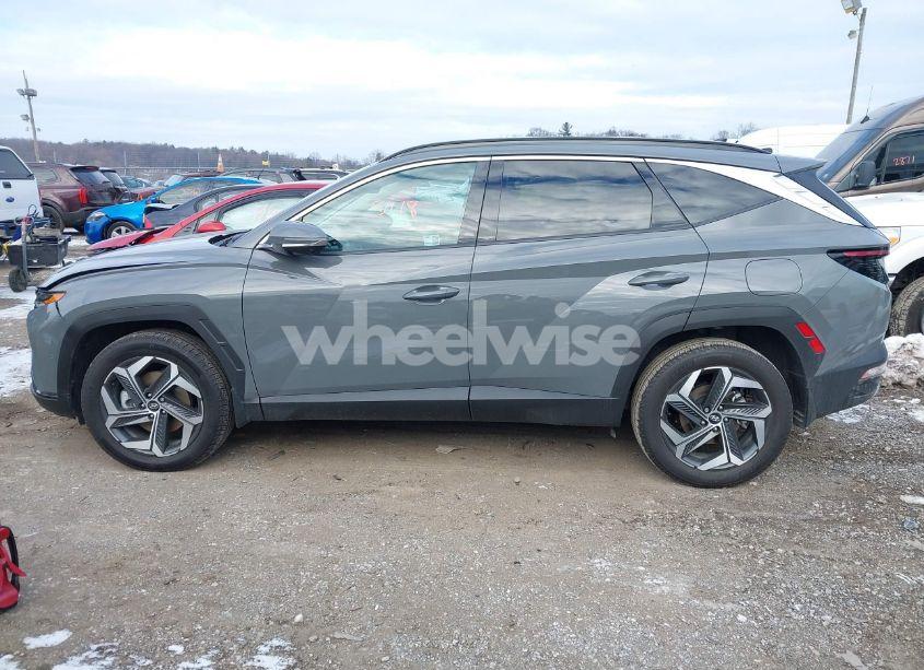 Photo 14 of 2024 Hyundai Tucson LIMITED (VIN 5NMJECDE2RH379657)