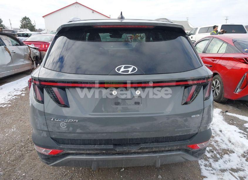 Photo 16 of 2024 Hyundai Tucson LIMITED (VIN 5NMJECDE2RH379657)