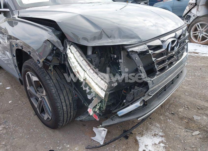 Photo 6 of 2024 Hyundai Tucson LIMITED (VIN 5NMJECDE2RH379657)