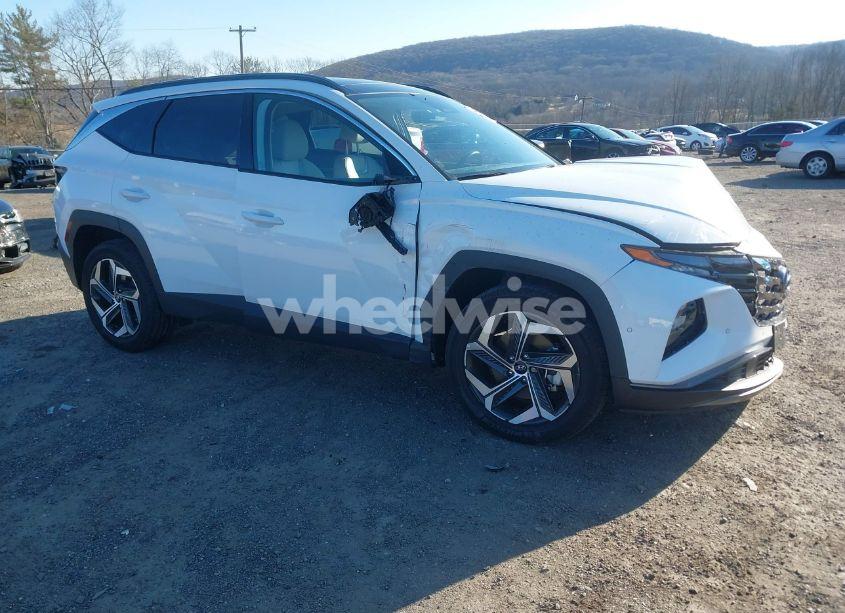 2024 Hyundai Tucson LIMITED (VIN 5NMJECDE2RH380484) main photo