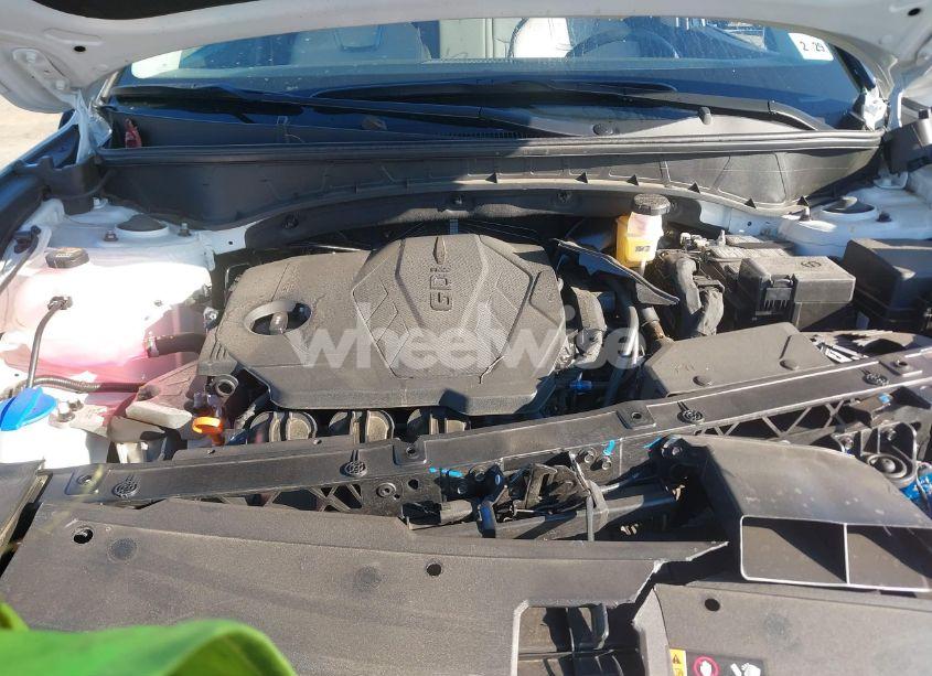 Photo 10 of 2024 Hyundai Tucson LIMITED (VIN 5NMJECDE2RH380484)