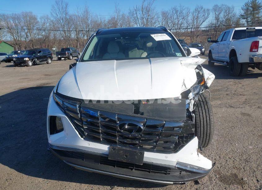 Photo 13 of 2024 Hyundai Tucson LIMITED (VIN 5NMJECDE2RH380484)