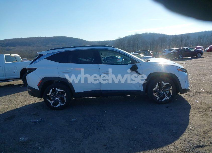 Photo 14 of 2024 Hyundai Tucson LIMITED (VIN 5NMJECDE2RH380484)