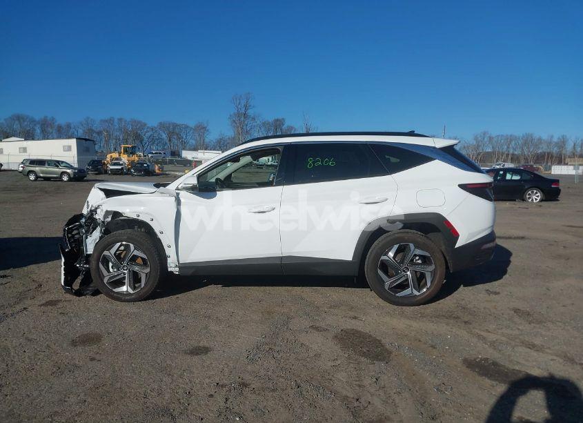 Photo 15 of 2024 Hyundai Tucson LIMITED (VIN 5NMJECDE2RH380484)