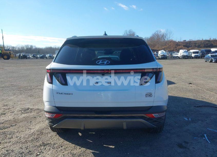Photo 17 of 2024 Hyundai Tucson LIMITED (VIN 5NMJECDE2RH380484)