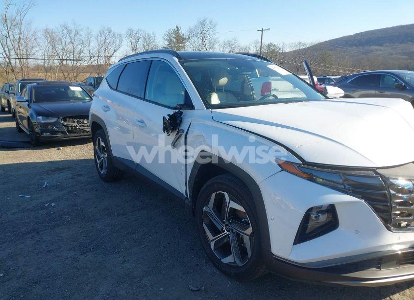 Photo 18 of 2024 Hyundai Tucson LIMITED (VIN 5NMJECDE2RH380484)