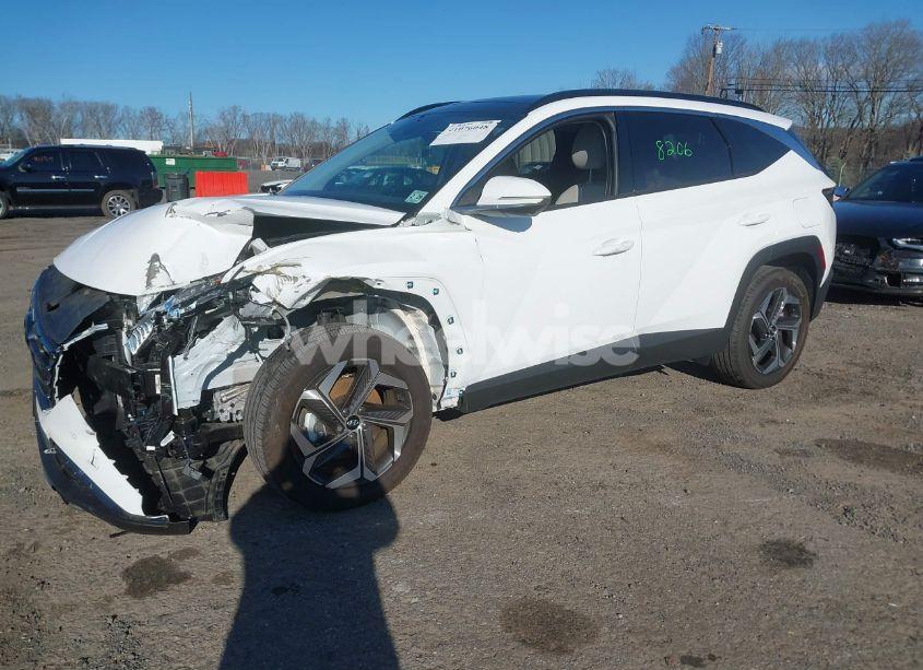 Photo 2 of 2024 Hyundai Tucson LIMITED (VIN 5NMJECDE2RH380484)
