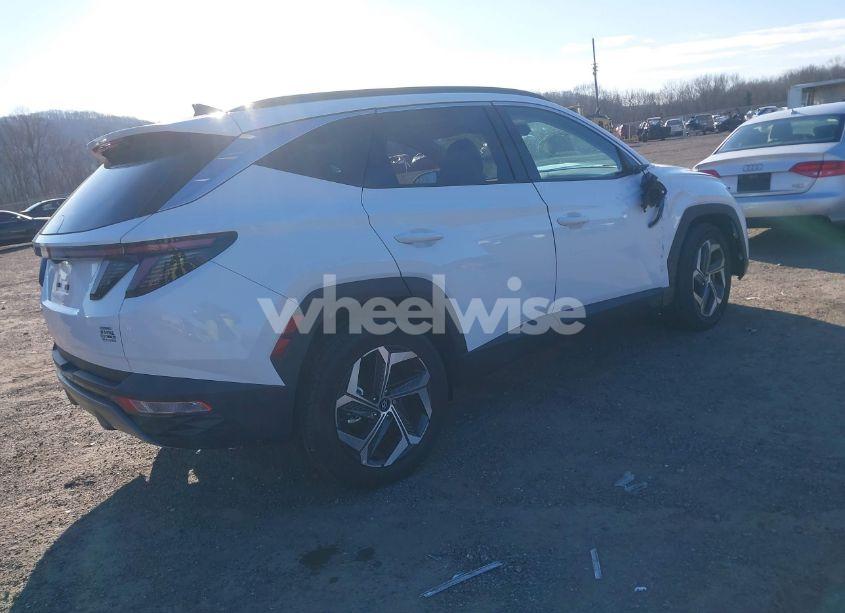 Photo 4 of 2024 Hyundai Tucson LIMITED (VIN 5NMJECDE2RH380484)