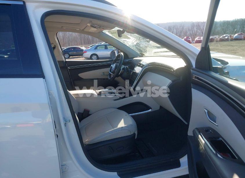Photo 5 of 2024 Hyundai Tucson LIMITED (VIN 5NMJECDE2RH380484)