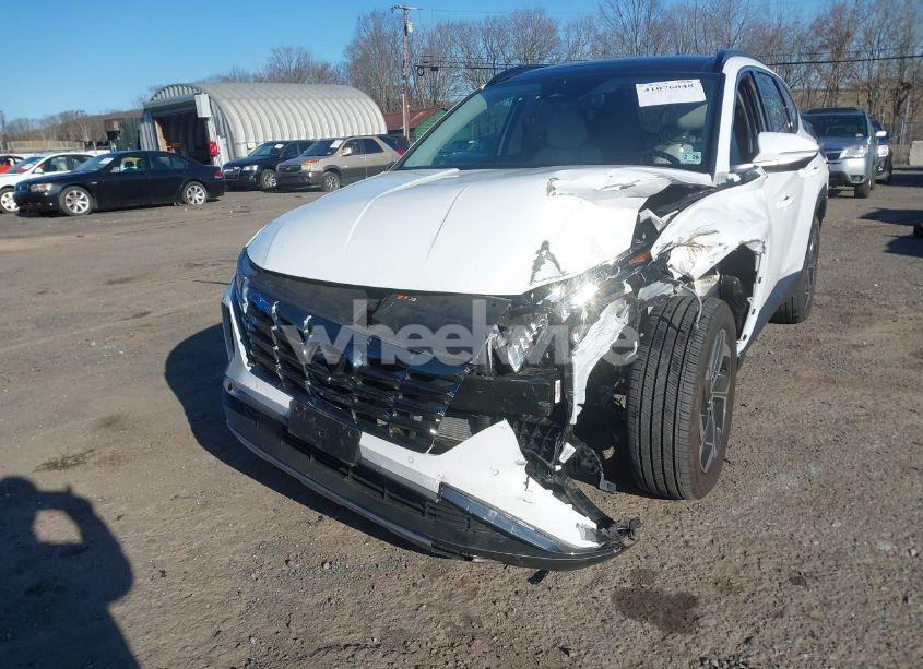 Photo 6 of 2024 Hyundai Tucson LIMITED (VIN 5NMJECDE2RH380484)