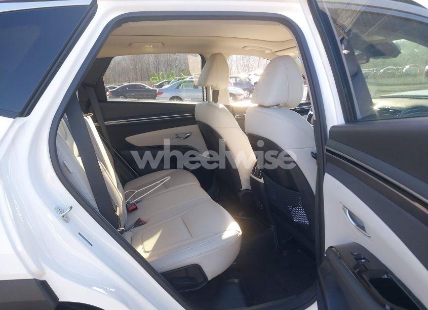 Photo 8 of 2024 Hyundai Tucson LIMITED (VIN 5NMJECDE2RH380484)