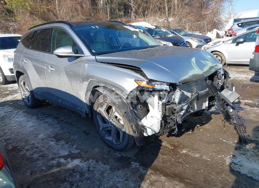 2024 Hyundai Tucson LIMITED (VIN 5NMJECDE3RH378341) main photo