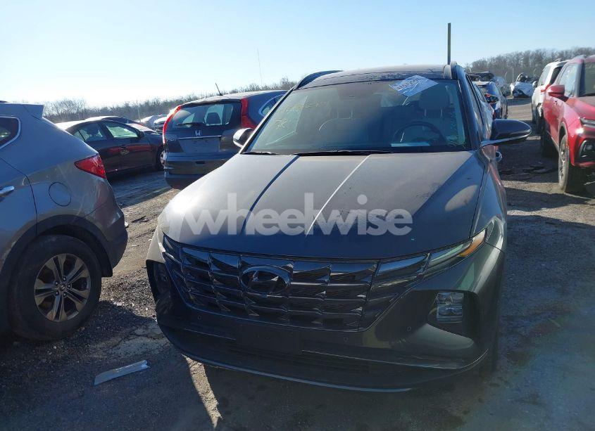 Photo 12 of 2024 Hyundai Tucson LIMITED (VIN 5NMJECDE4RH352685)
