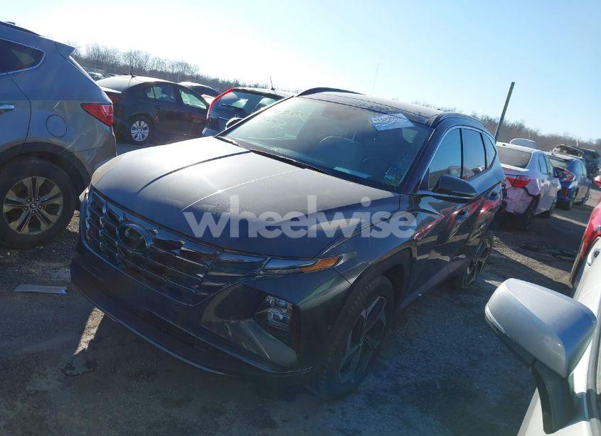 Photo 2 of 2024 Hyundai Tucson LIMITED (VIN 5NMJECDE4RH352685)