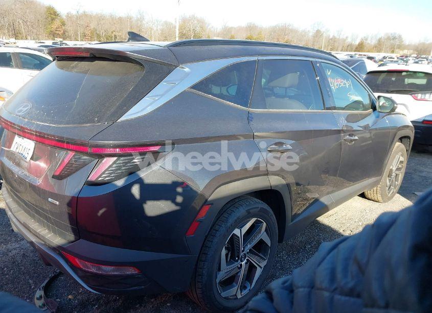 Photo 4 of 2024 Hyundai Tucson LIMITED (VIN 5NMJECDE4RH352685)