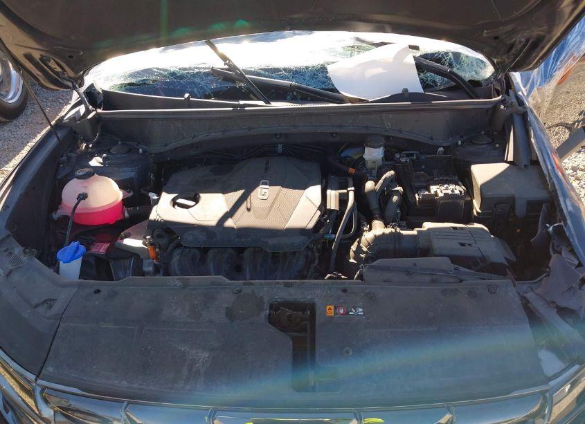 Photo 10 of 2024 Hyundai Tucson LIMITED (VIN 5NMJECDE4RH352704)