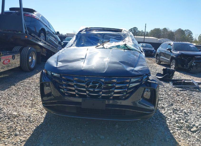 Photo 13 of 2024 Hyundai Tucson LIMITED (VIN 5NMJECDE4RH352704)