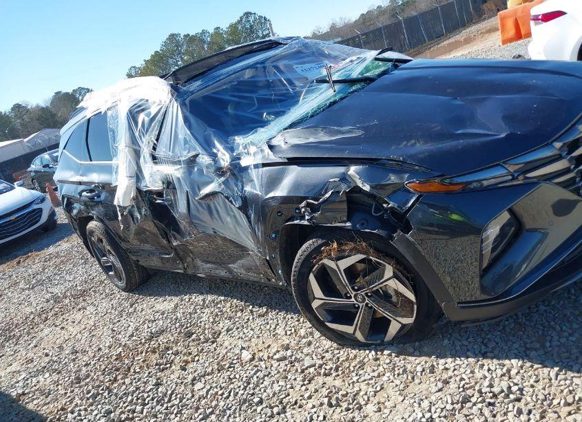 Photo 14 of 2024 Hyundai Tucson LIMITED (VIN 5NMJECDE4RH352704)