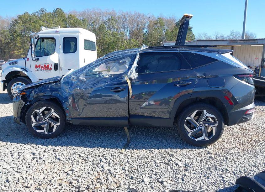Photo 15 of 2024 Hyundai Tucson LIMITED (VIN 5NMJECDE4RH352704)