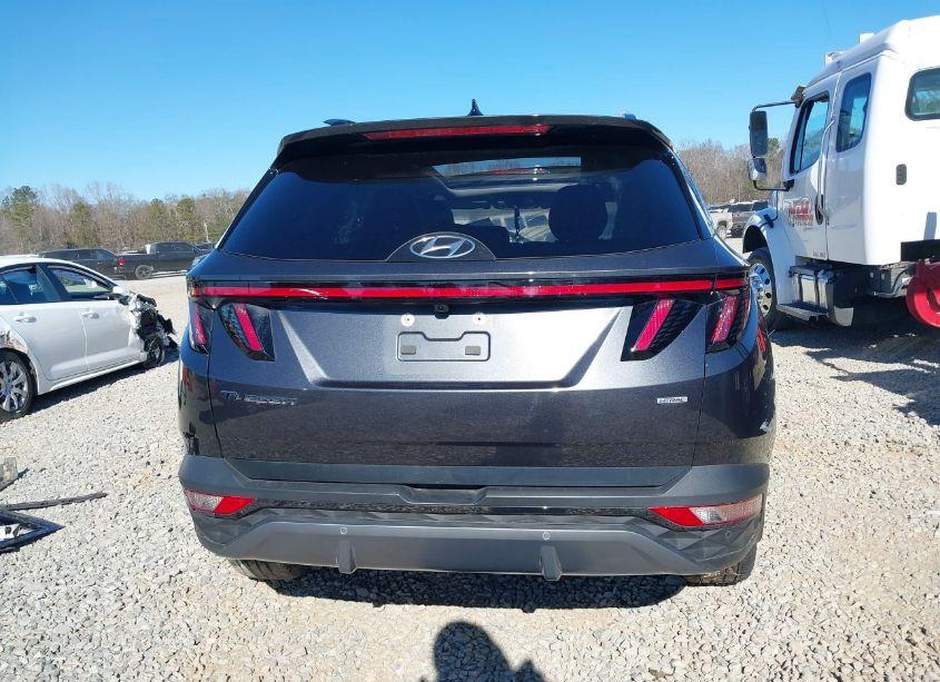 Photo 17 of 2024 Hyundai Tucson LIMITED (VIN 5NMJECDE4RH352704)