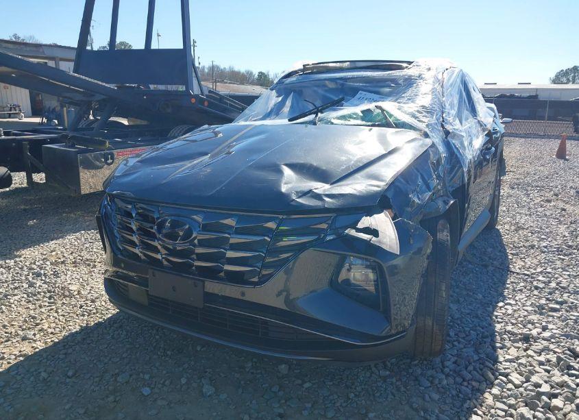 Photo 18 of 2024 Hyundai Tucson LIMITED (VIN 5NMJECDE4RH352704)