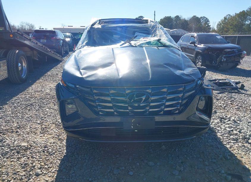 Photo 19 of 2024 Hyundai Tucson LIMITED (VIN 5NMJECDE4RH352704)