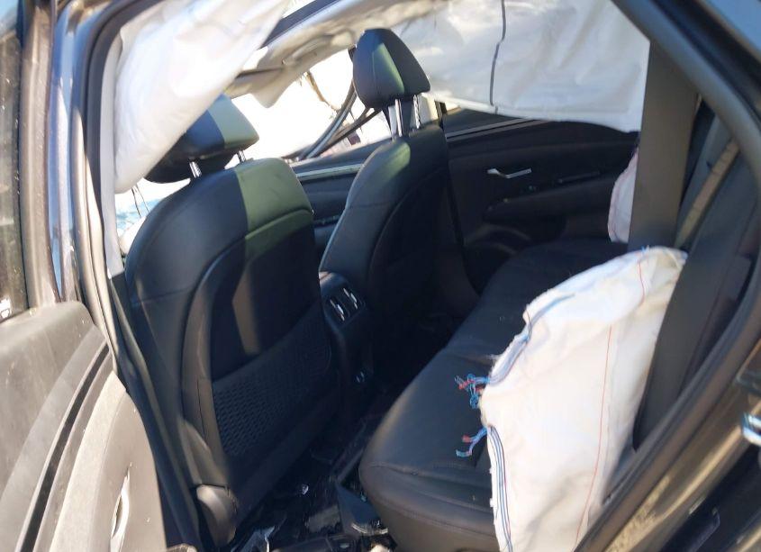 Photo 8 of 2024 Hyundai Tucson LIMITED (VIN 5NMJECDE4RH352704)