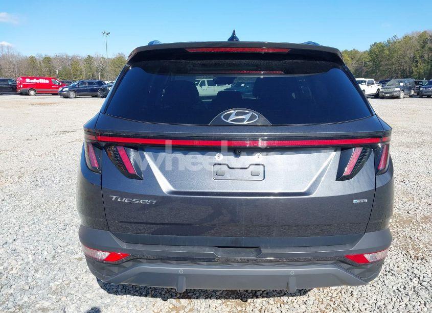 Photo 17 of 2024 Hyundai Tucson LIMITED (VIN 5NMJECDE4RH358115)